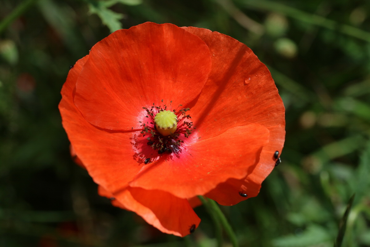 IMG-2016-06-22-00020609_Bildgr��e �ndern