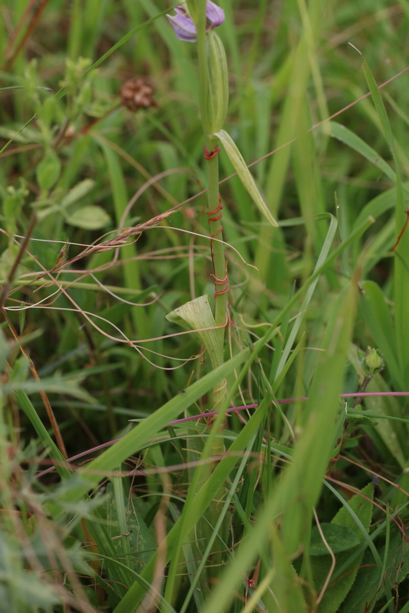 IMG-2016-06-22-00020618_Bildgr��e �ndern