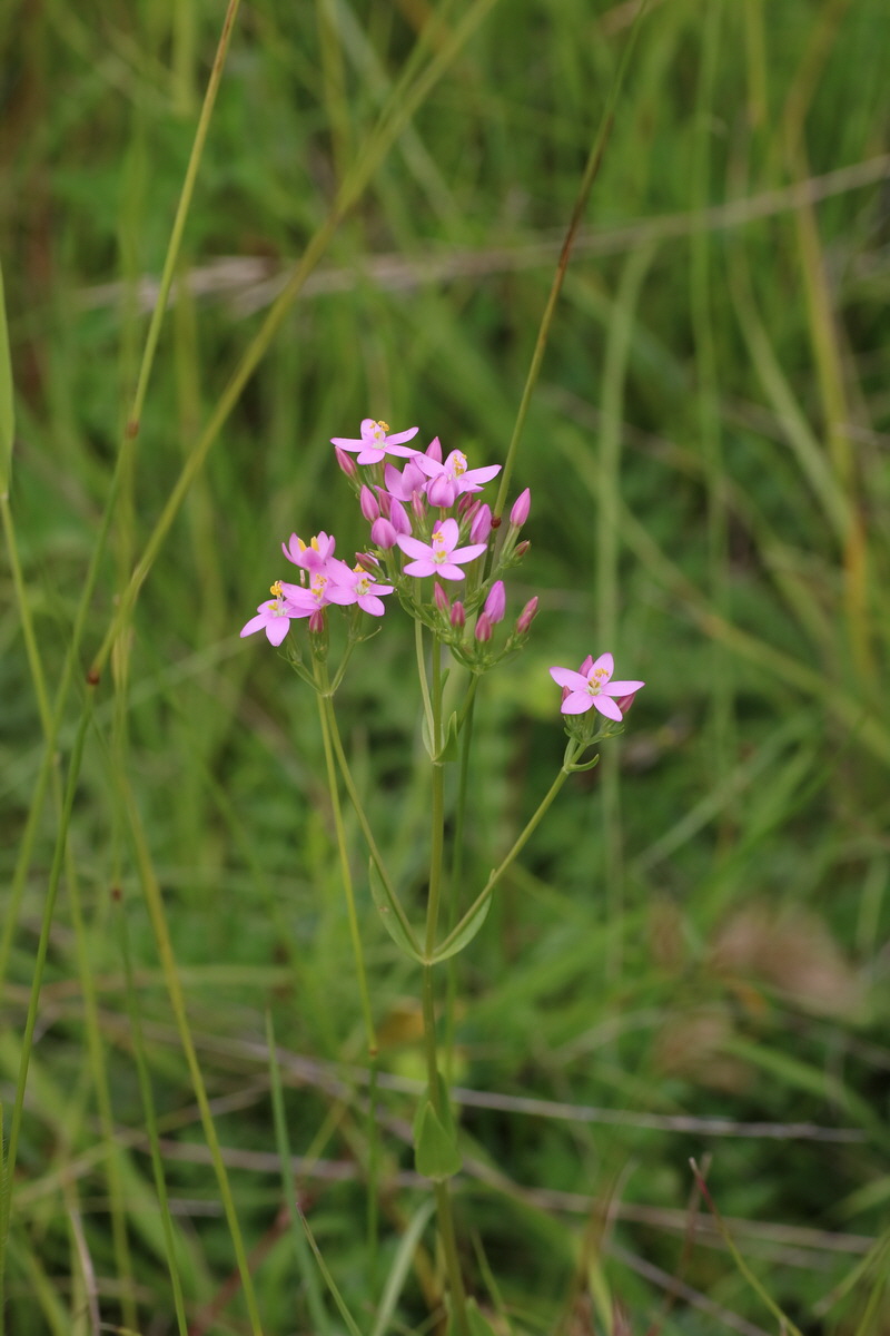 IMG-2016-06-22-00020628_Bildgr��e �ndern