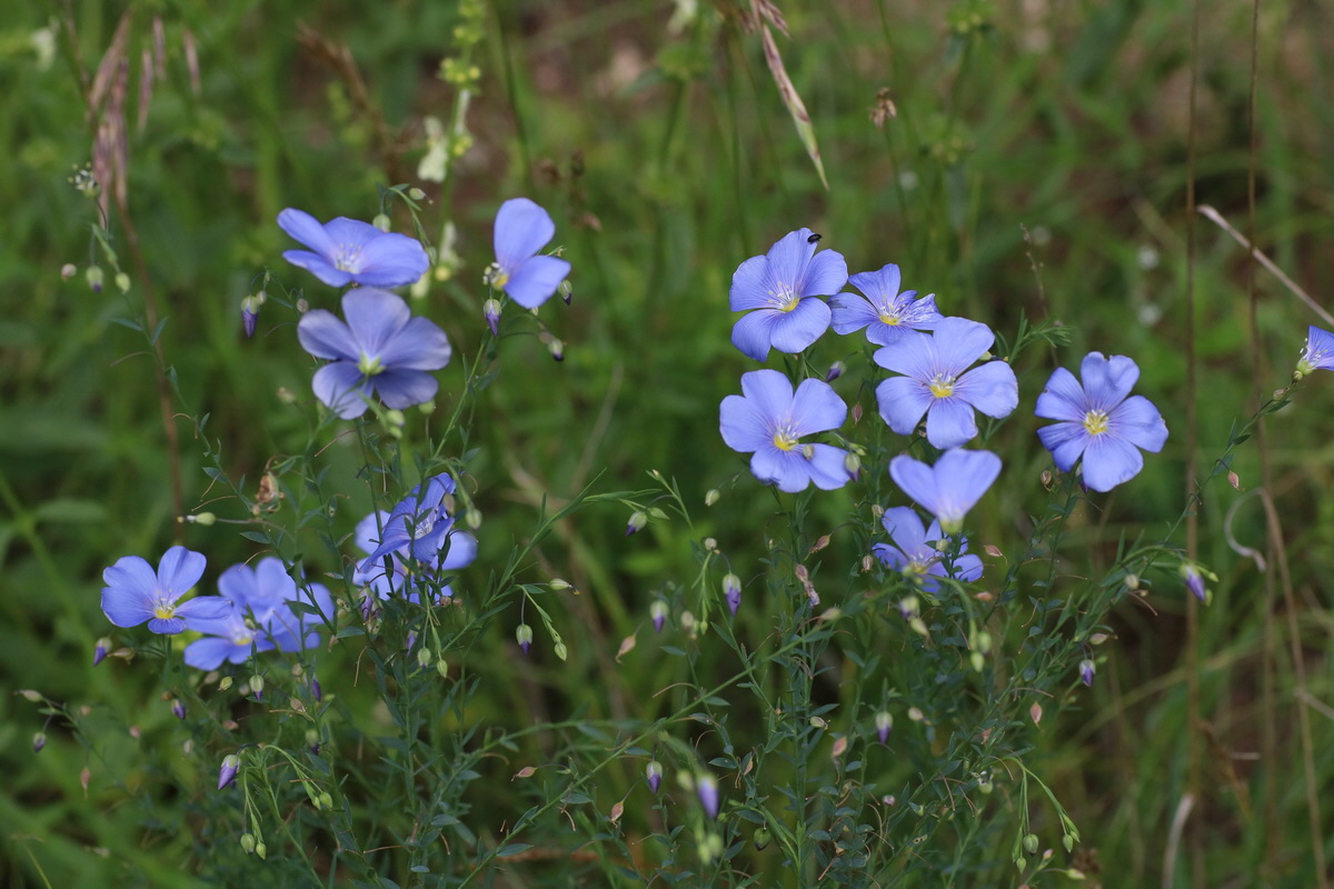 IMG-2016-06-22-00020631_Bildgr��e �ndern