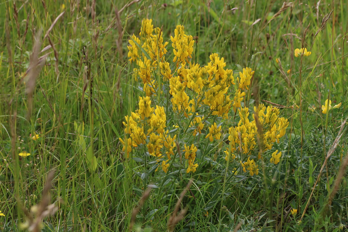 IMG-2016-06-22-00020634_Bildgr��e �ndern