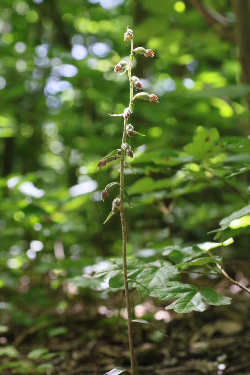 IMG-2016-06-22-00020635_Bildgr��e �ndern