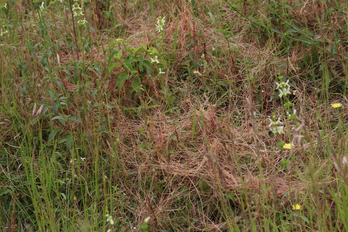 IMG-2016-06-22-00020639_Bildgr��e �ndern