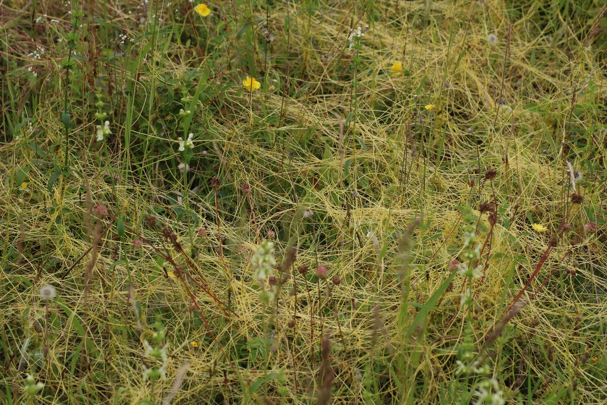 IMG-2016-06-22-00020642_Bildgr��e �ndern