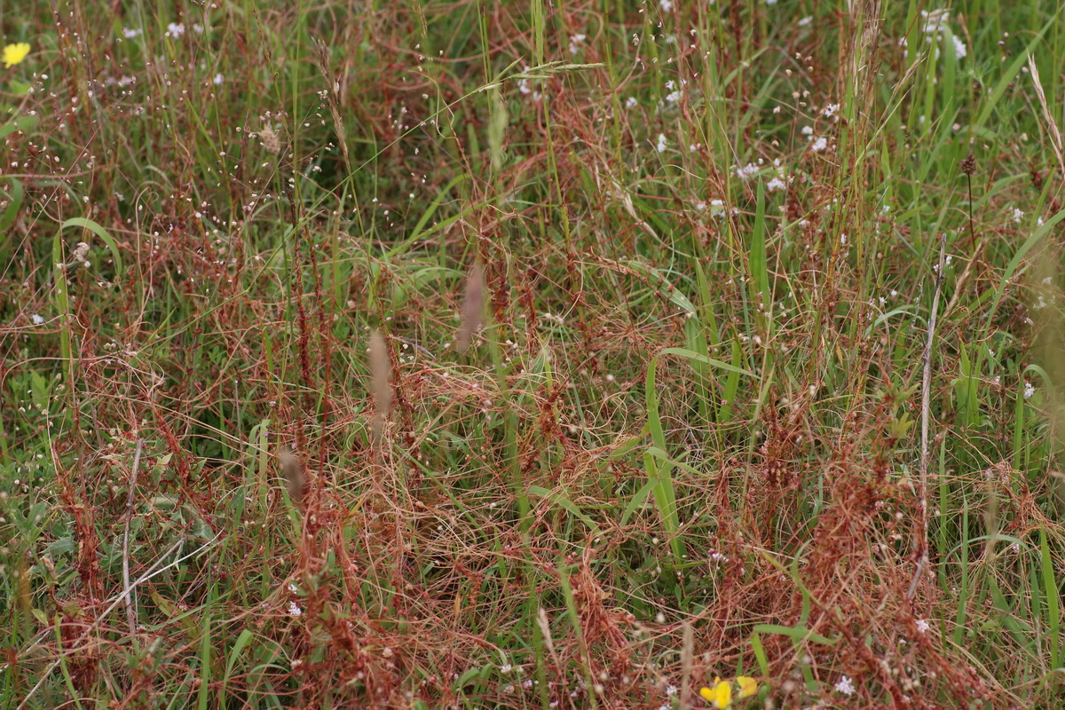 IMG-2016-06-22-00020645_Bildgr��e �ndern