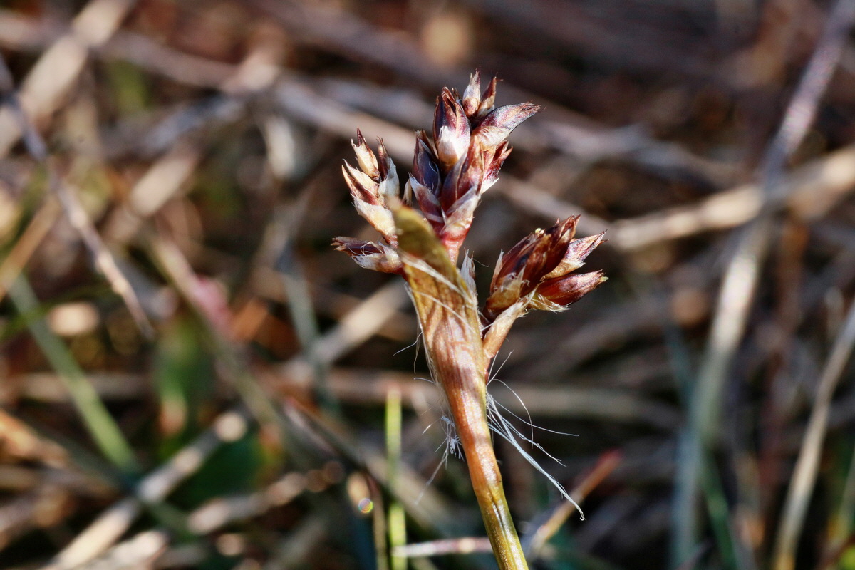 IMG-2016-03-14-00011084p_Bildgr��e �ndern