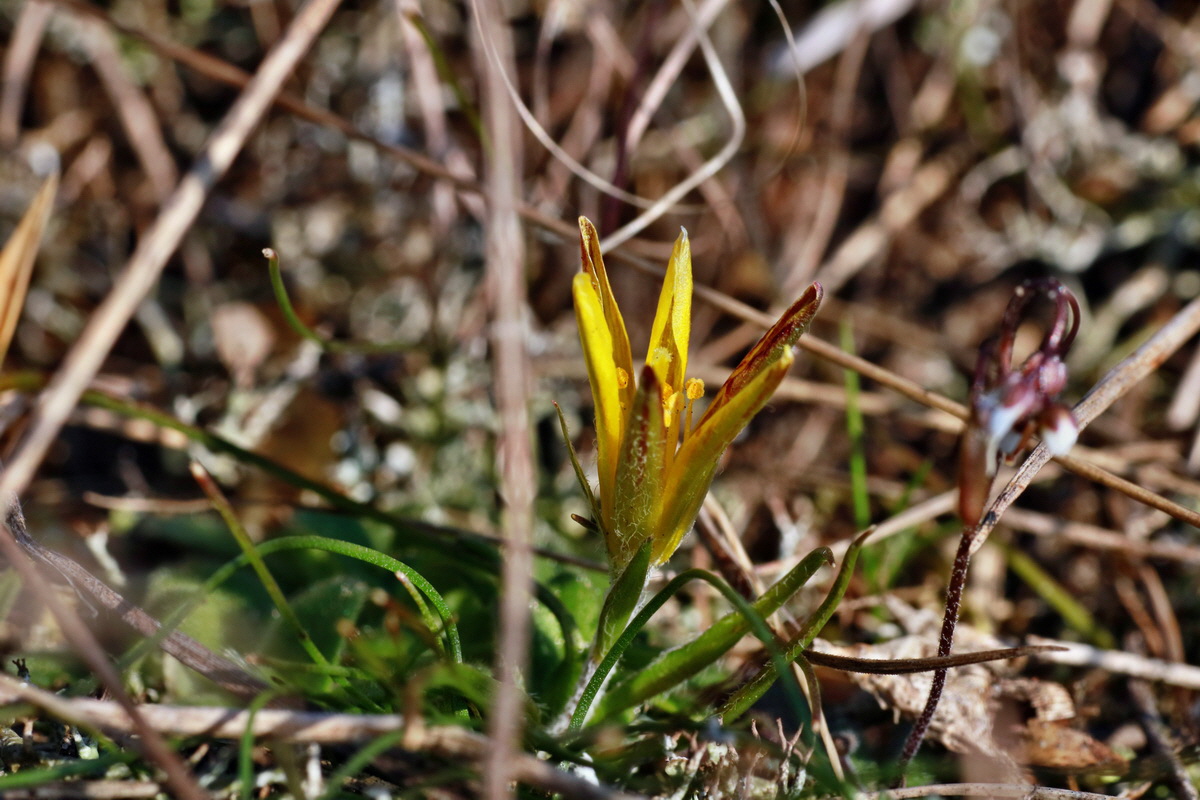 IMG-2016-03-14-00011094p_Bildgr��e �ndern