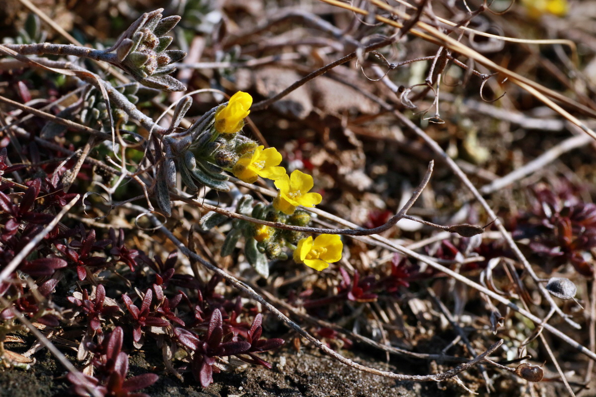 IMG-2016-03-14-00011100p_Bildgr��e �ndern