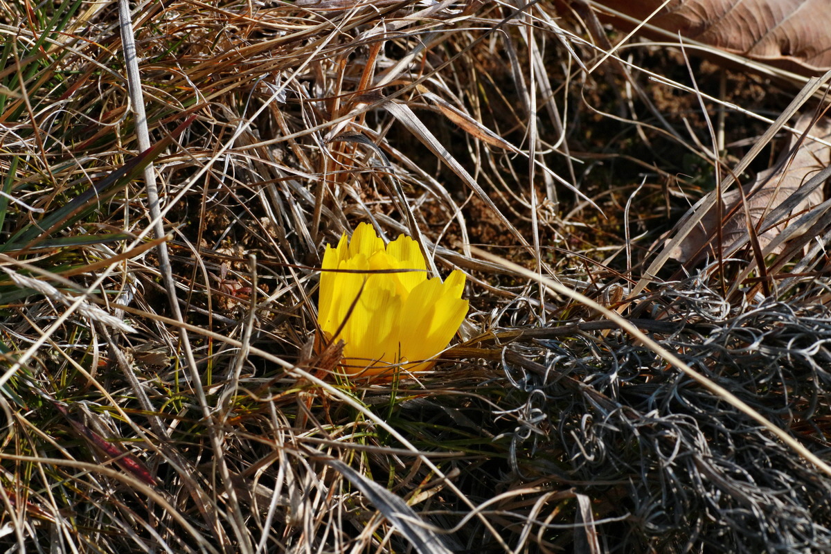 IMG-2016-03-14-00011104p_Bildgr��e �ndern