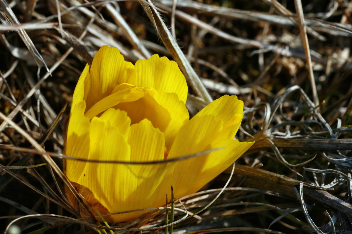 IMG-2016-03-14-00011107p_Bildgr��e �ndern