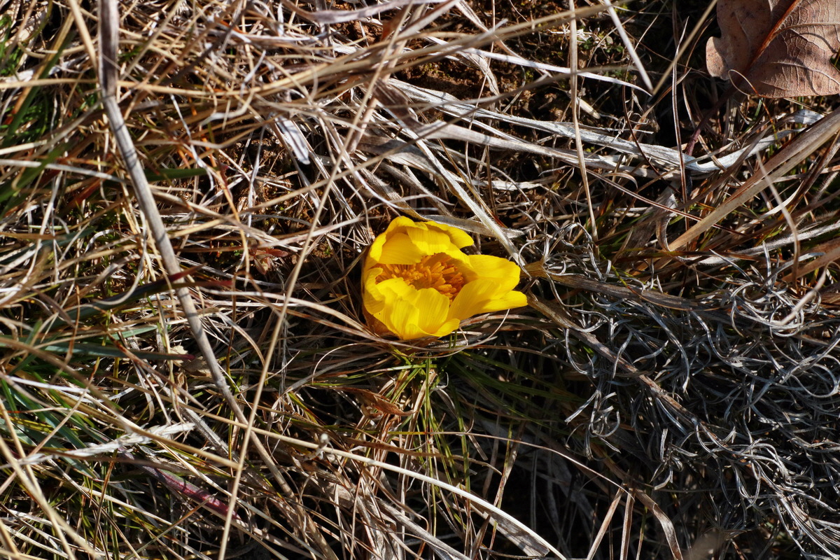 IMG-2016-03-14-00011112p_Bildgr��e �ndern