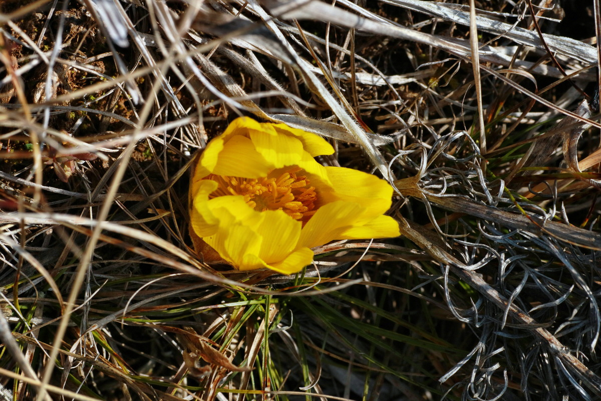 IMG-2016-03-14-00011117p_Bildgr��e �ndern