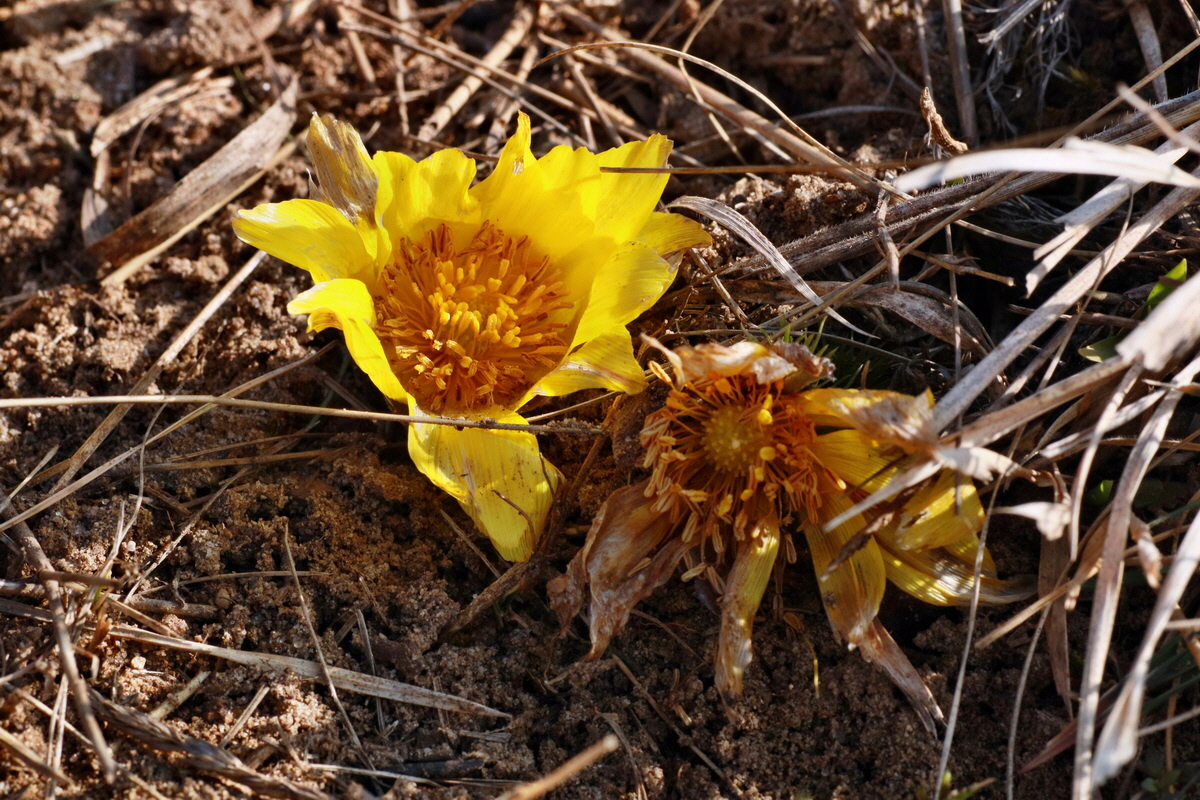 IMG-2016-03-14-00011120p_Bildgr��e �ndern