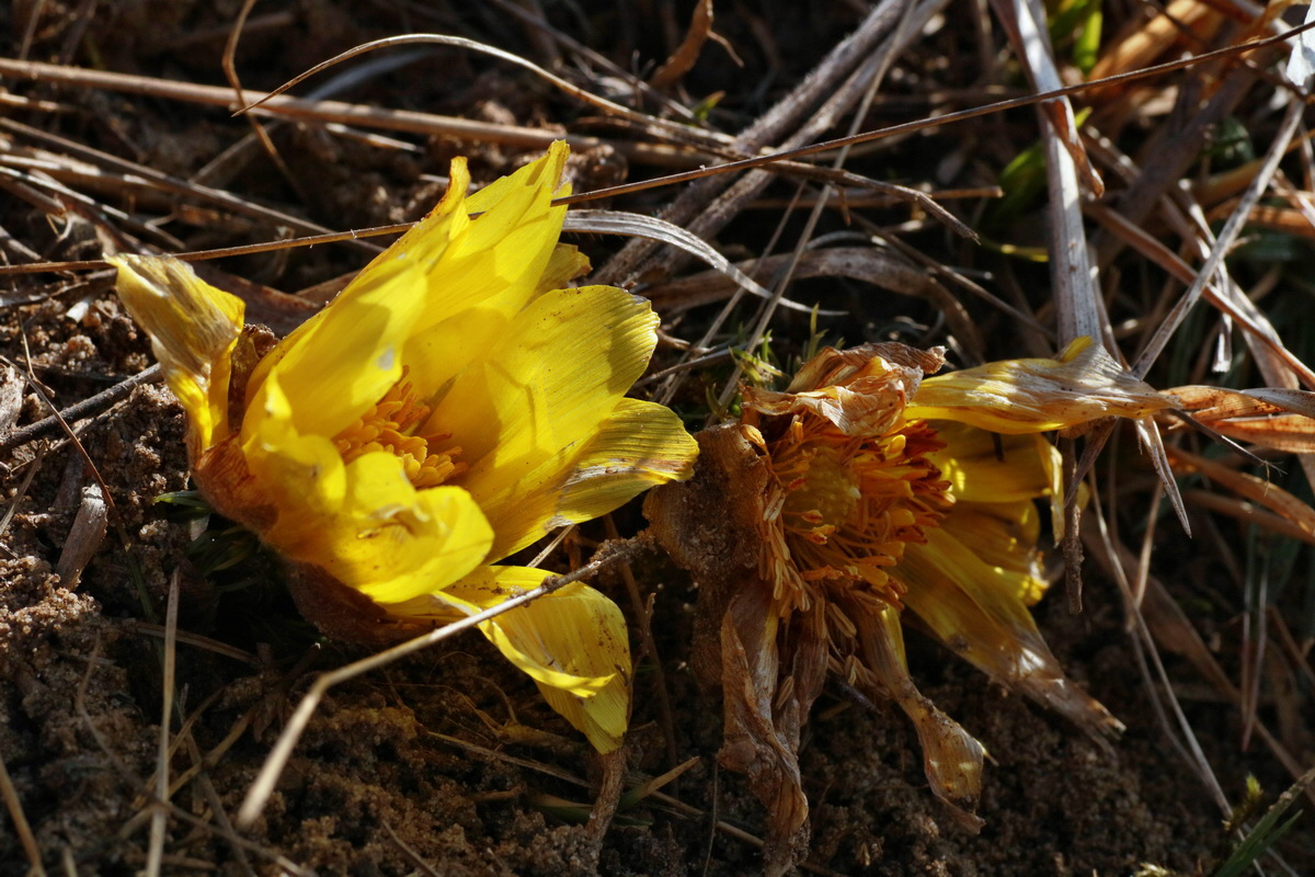 IMG-2016-03-14-00011127p_Bildgr��e �ndern