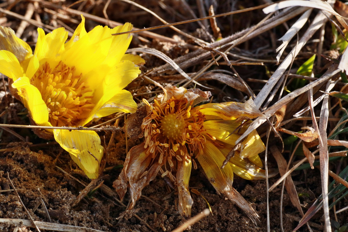 IMG-2016-03-14-00011133p_Bildgr��e �ndern