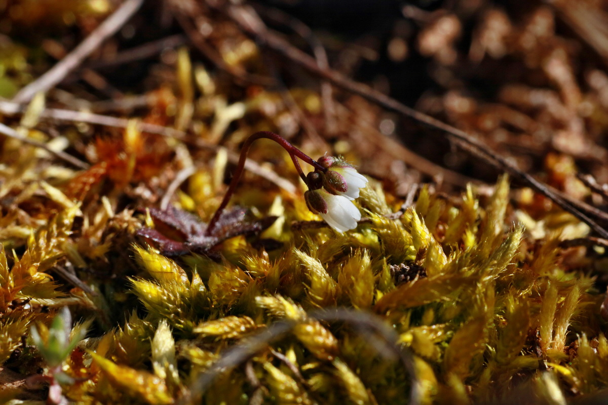 IMG-2016-03-14-00011146p_Bildgr��e �ndern