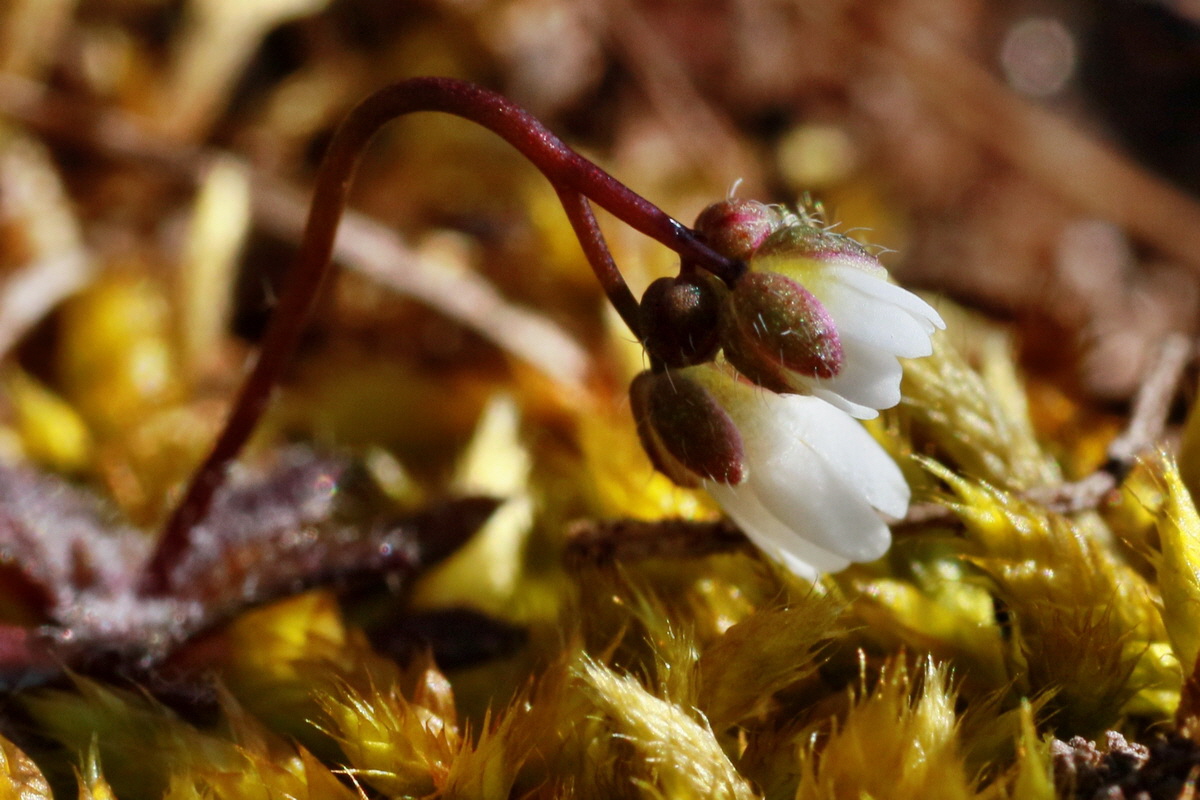 IMG-2016-03-14-00011146pa_Bildgr��e �ndern