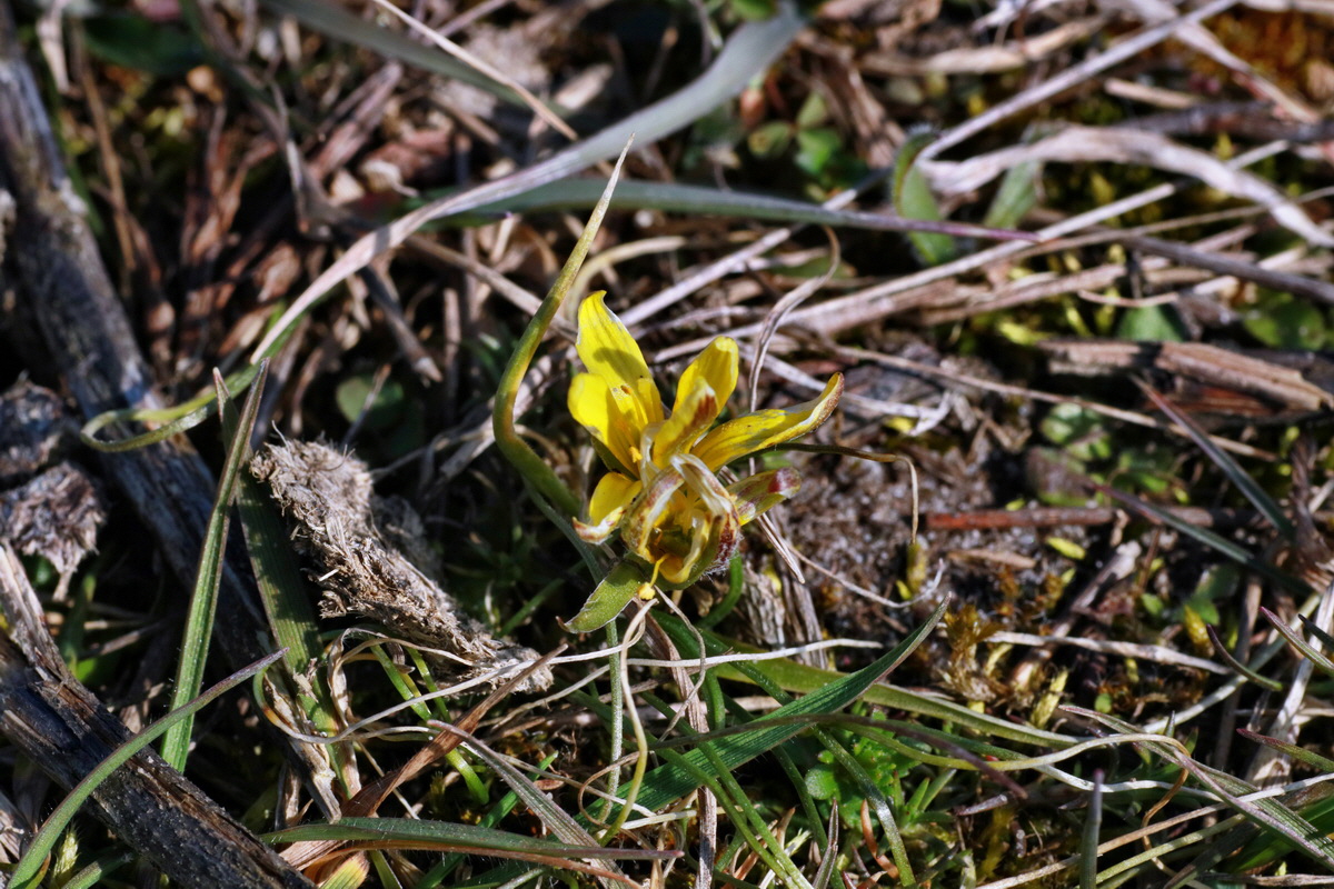 IMG-2016-03-14-00011161p_Bildgr��e �ndern