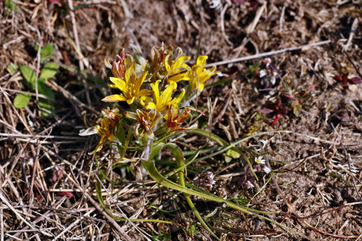 IMG-2016-03-14-00011167p_Bildgr��e �ndern