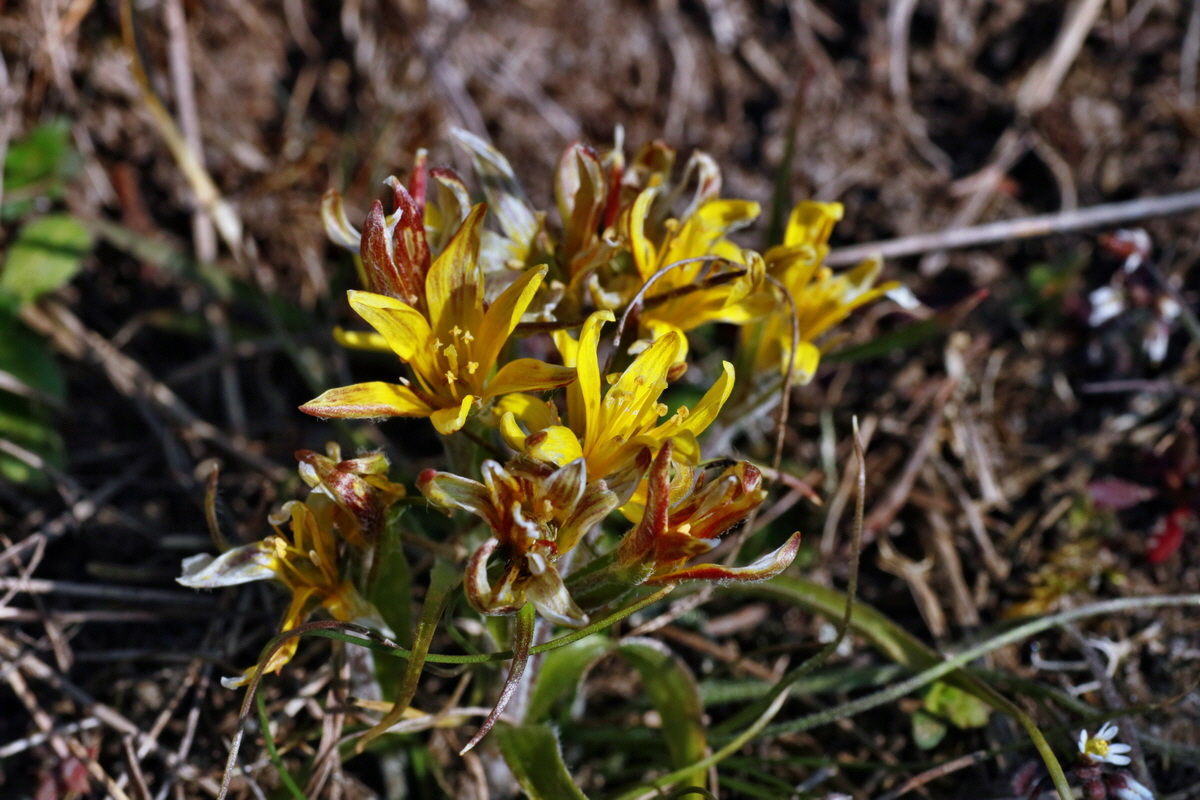 IMG-2016-03-14-00011171p_Bildgr��e �ndern