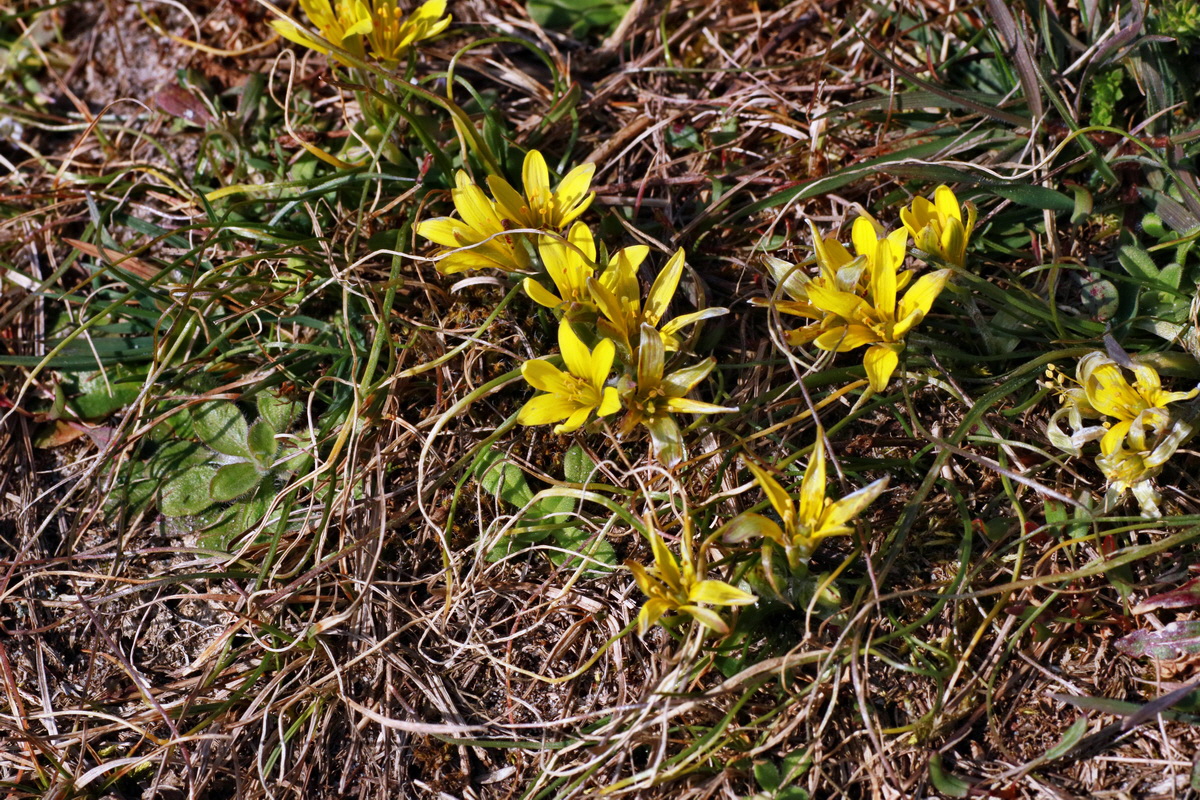 IMG-2016-03-14-00011182p_Bildgr��e �ndern