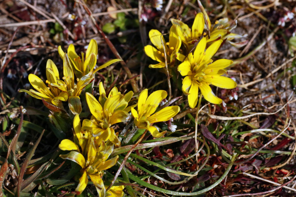 IMG-2016-03-14-00011185p_Bildgr��e �ndern