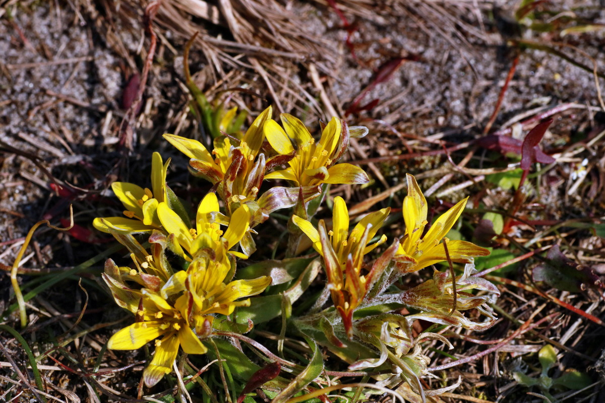 IMG-2016-03-14-00011189p_Bildgr��e �ndern