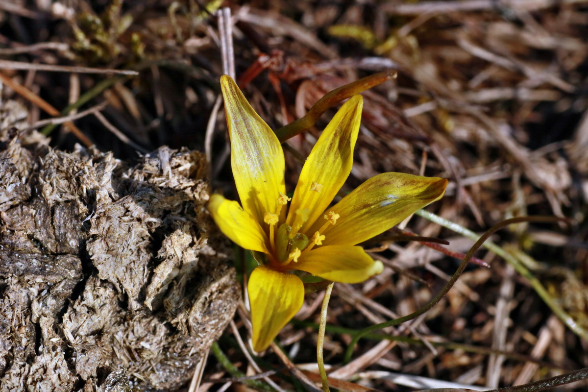 IMG-2016-03-14-00011192p_Bildgr��e �ndern