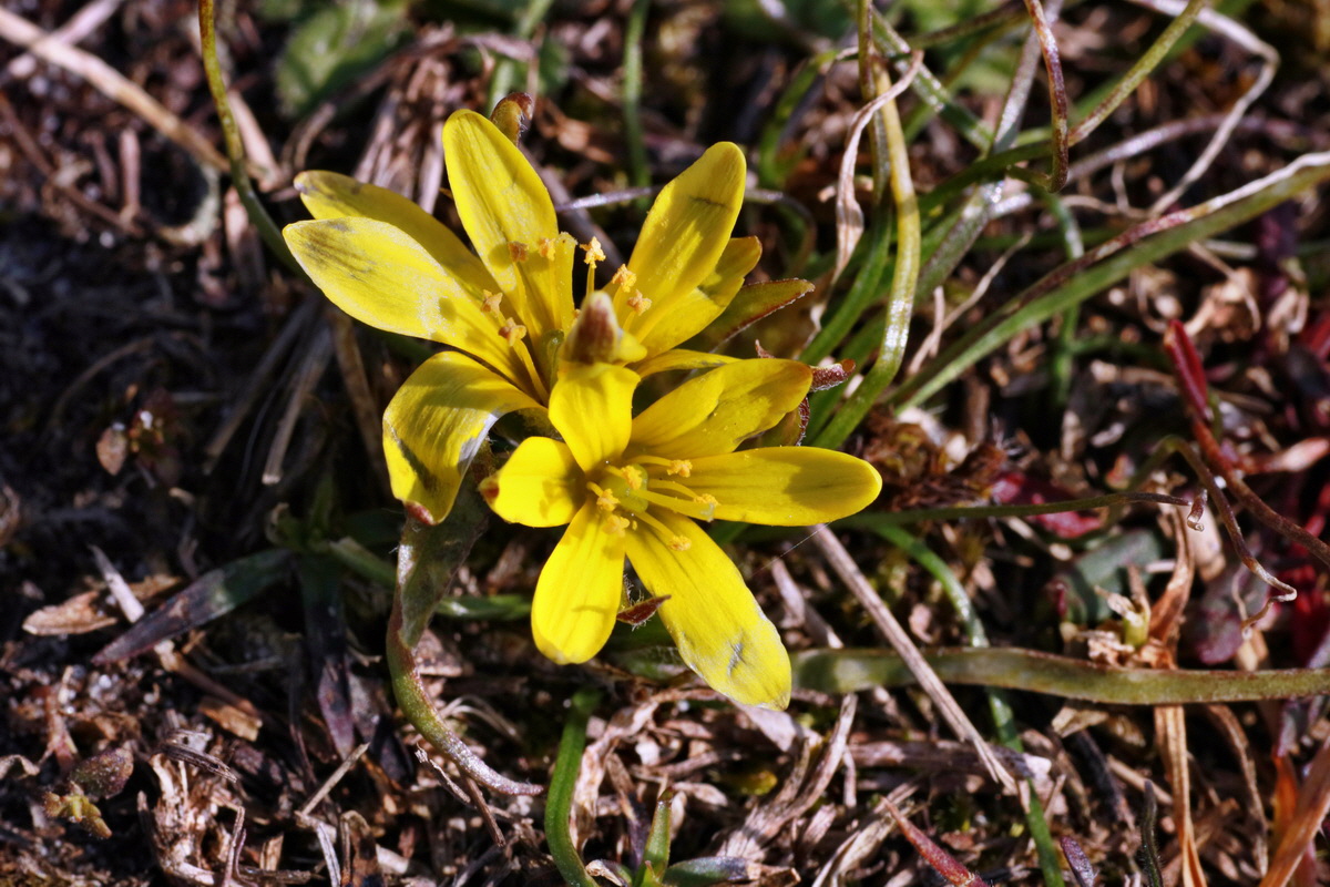 IMG-2016-03-14-00011196p_Bildgr��e �ndern