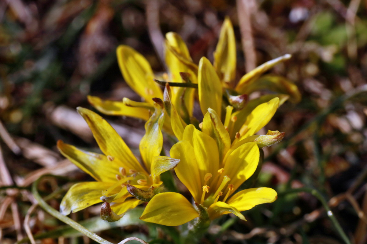 IMG-2016-03-14-00011200p_Bildgr��e �ndern