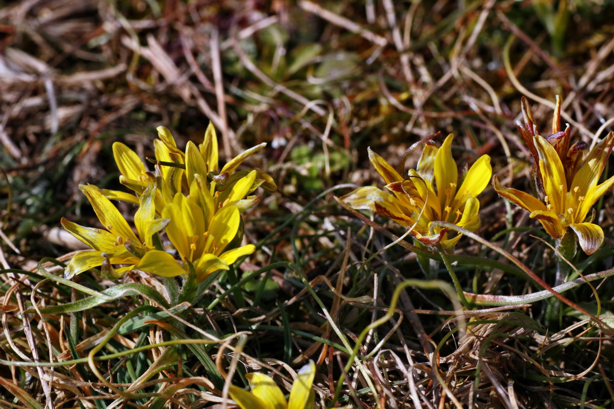 IMG-2016-03-14-00011202p_Bildgr��e �ndern