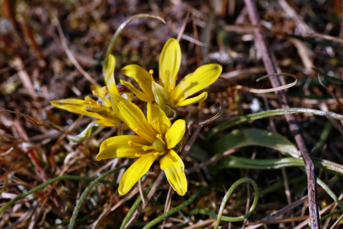 IMG-2016-03-14-00011204p_Bildgr��e �ndern