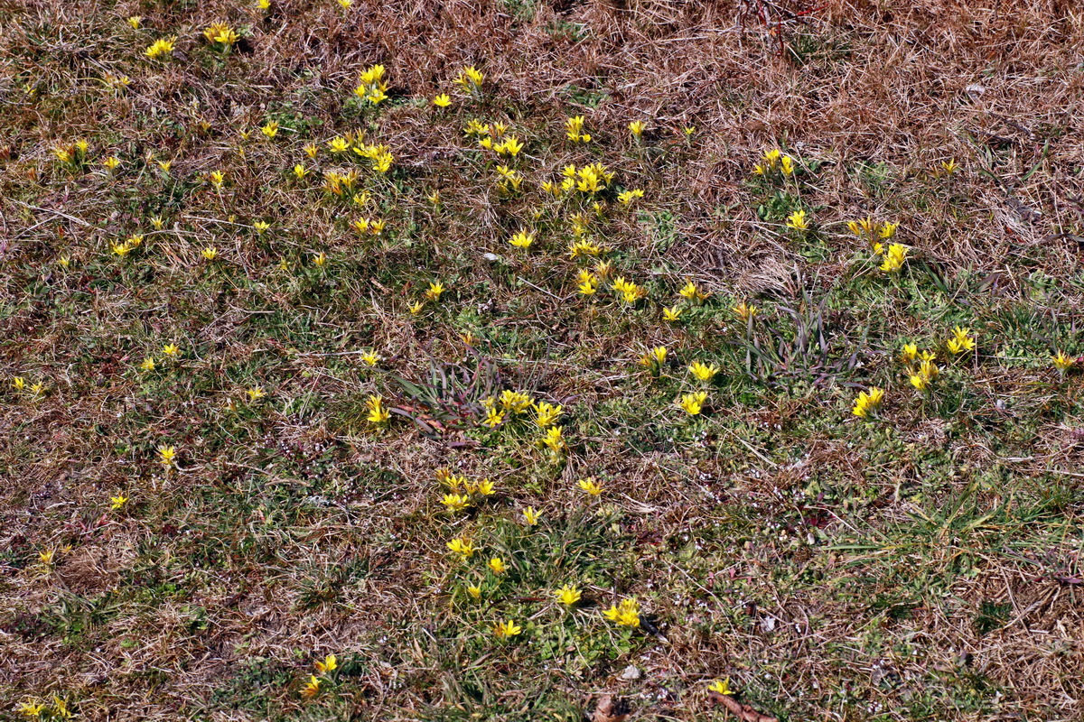 IMG-2016-03-14-00011208p_Bildgr��e �ndern