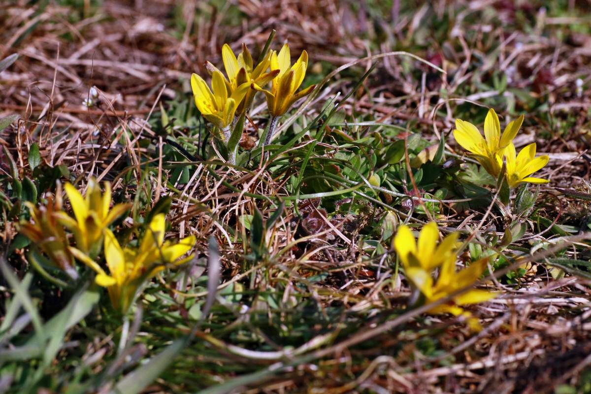 IMG-2016-03-14-00011216p_Bildgr��e �ndern