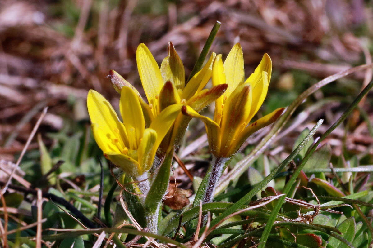 IMG-2016-03-14-00011216pa_Bildgr��e �ndern