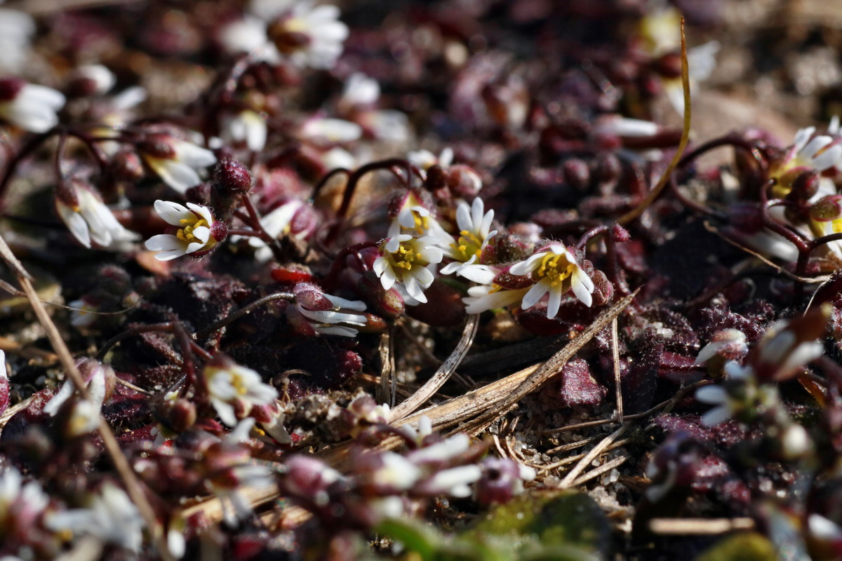 IMG-2016-03-14-00011235p_Bildgr��e �ndern