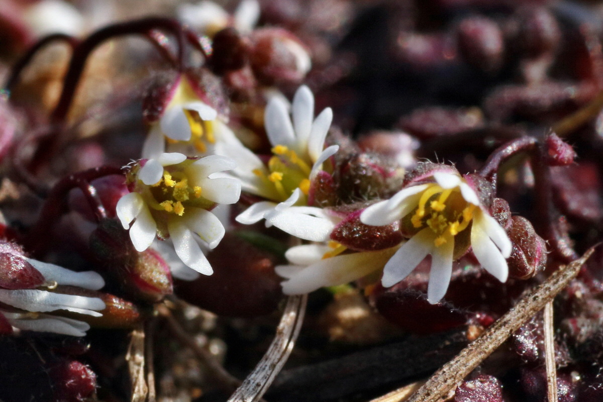 IMG-2016-03-14-00011235pa_Bildgr��e �ndern