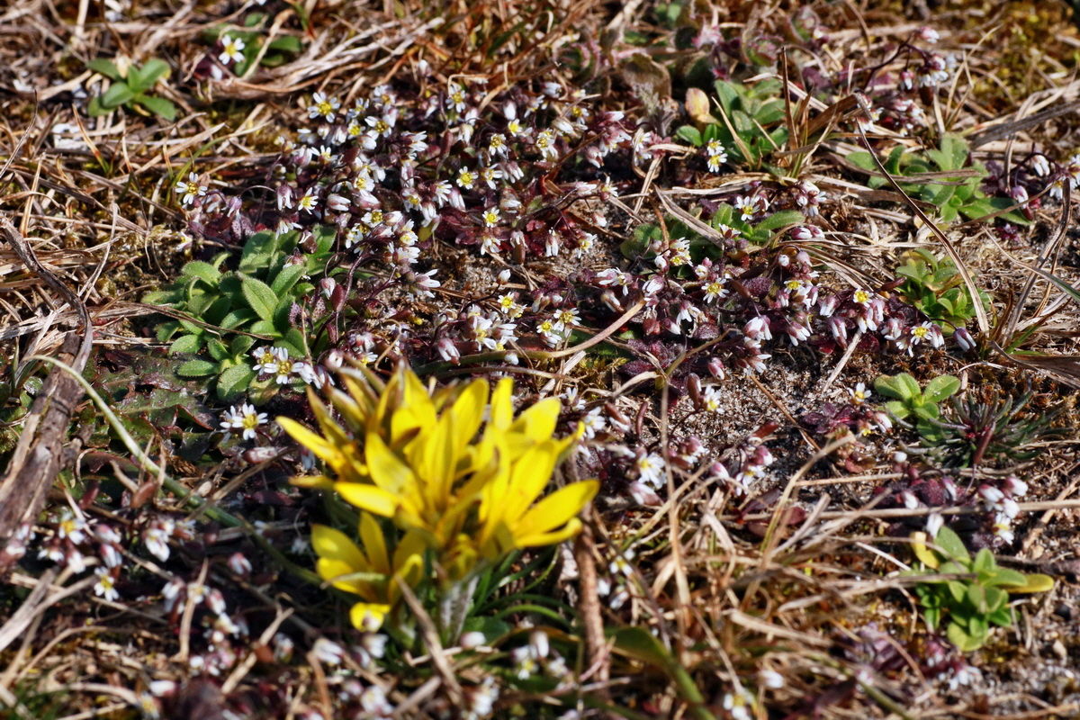 IMG-2016-03-14-00011240p_Bildgr��e �ndern