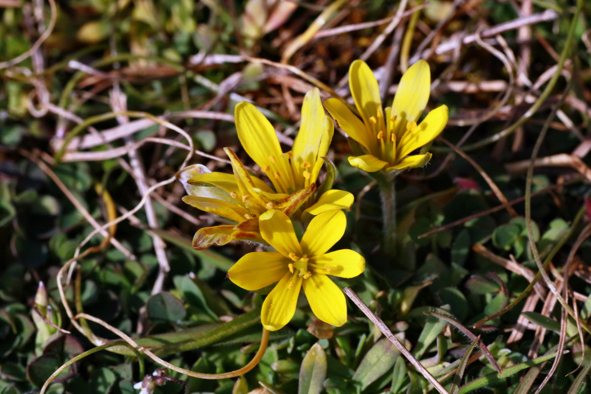 IMG-2016-03-14-00011259p_Bildgr��e �ndern