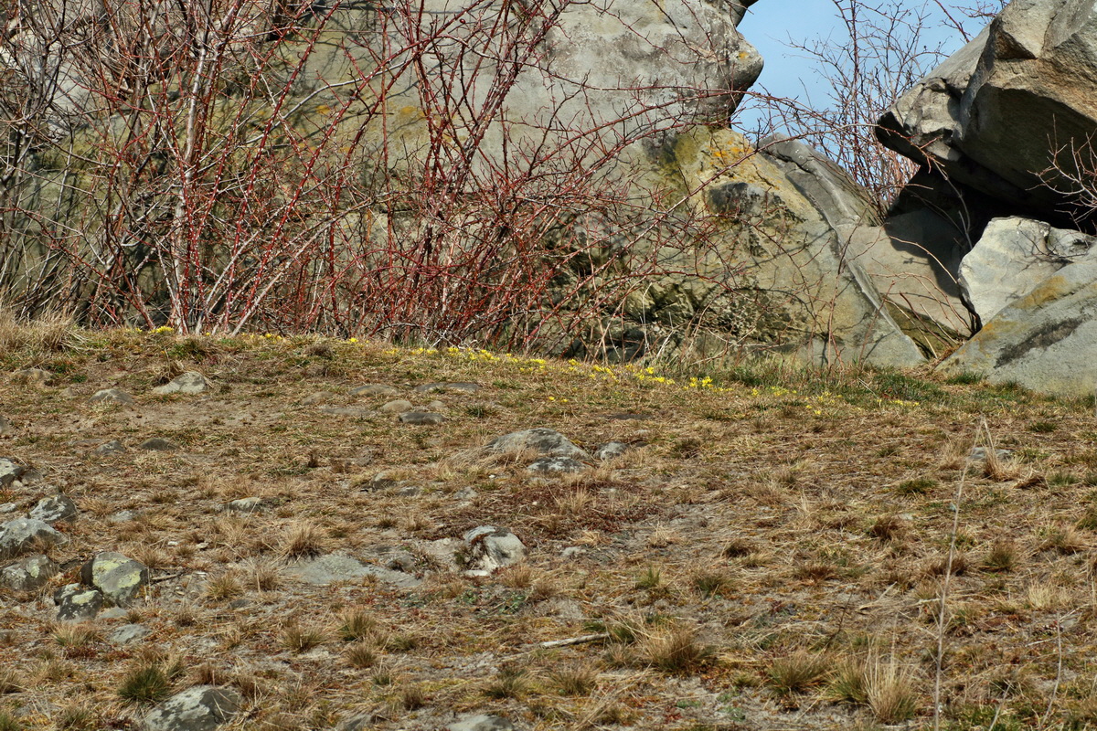 IMG-2016-03-14-00011261p_Bildgr��e �ndern