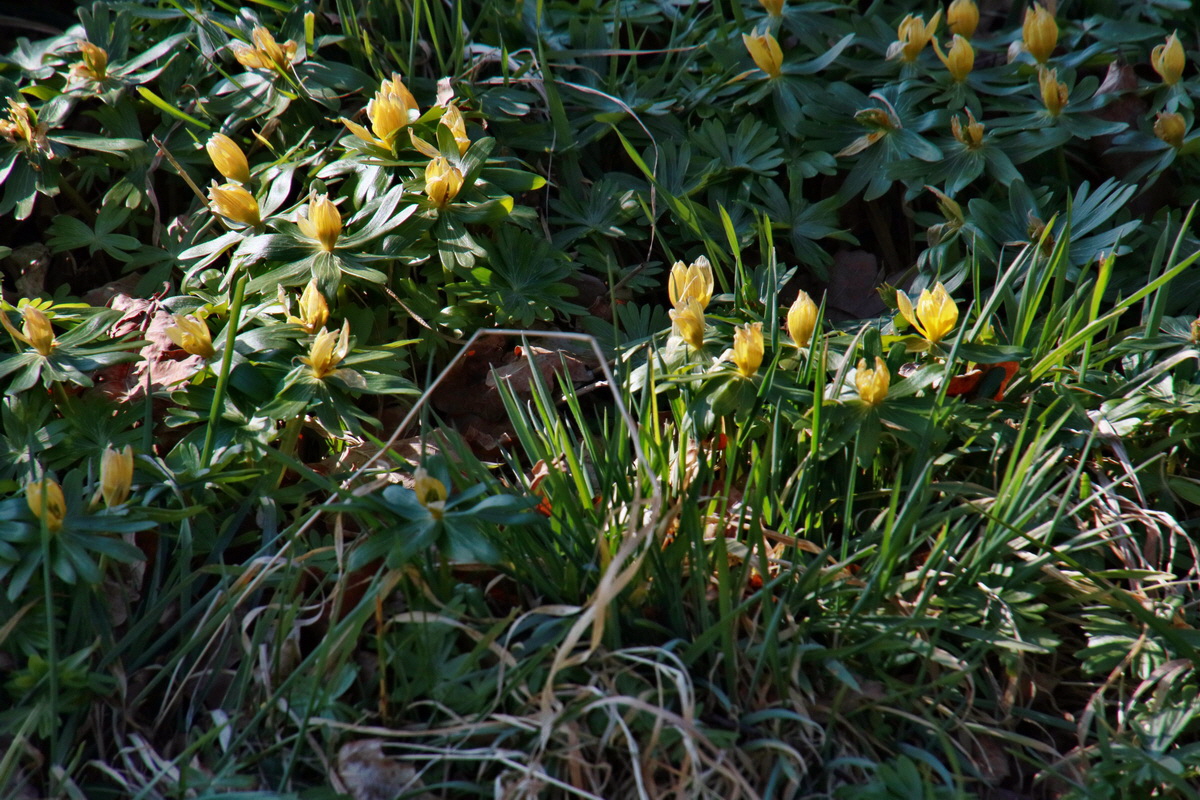 IMG-2016-03-14-00011281p_Bildgr��e �ndern