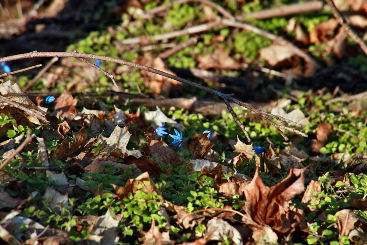 IMG-2016-03-14-00011284p_Bildgr��e �ndern