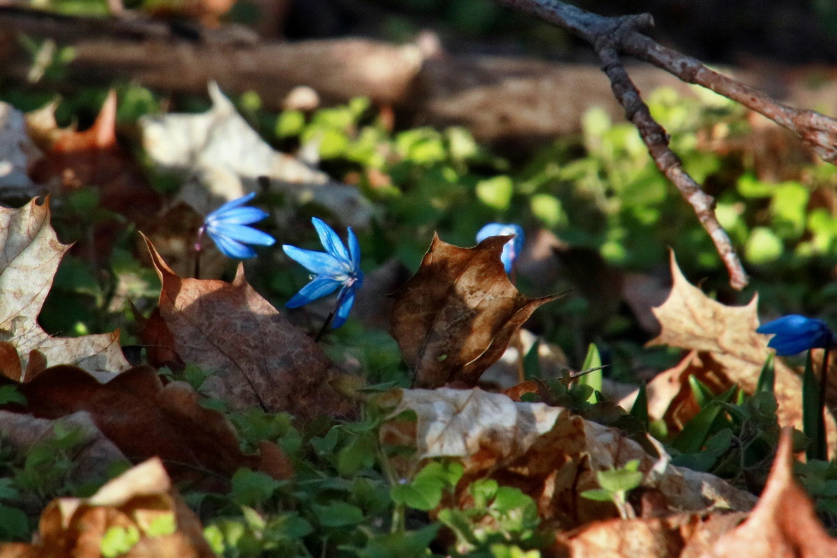 IMG-2016-03-14-00011284pa_Bildgr��e �ndern