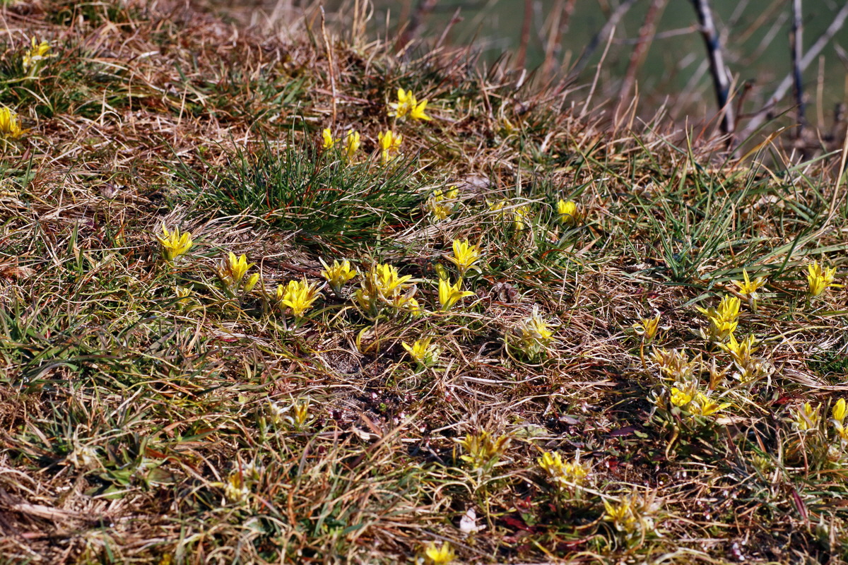 IMG-2016-03-17-00011296p_Bildgr��e �ndern