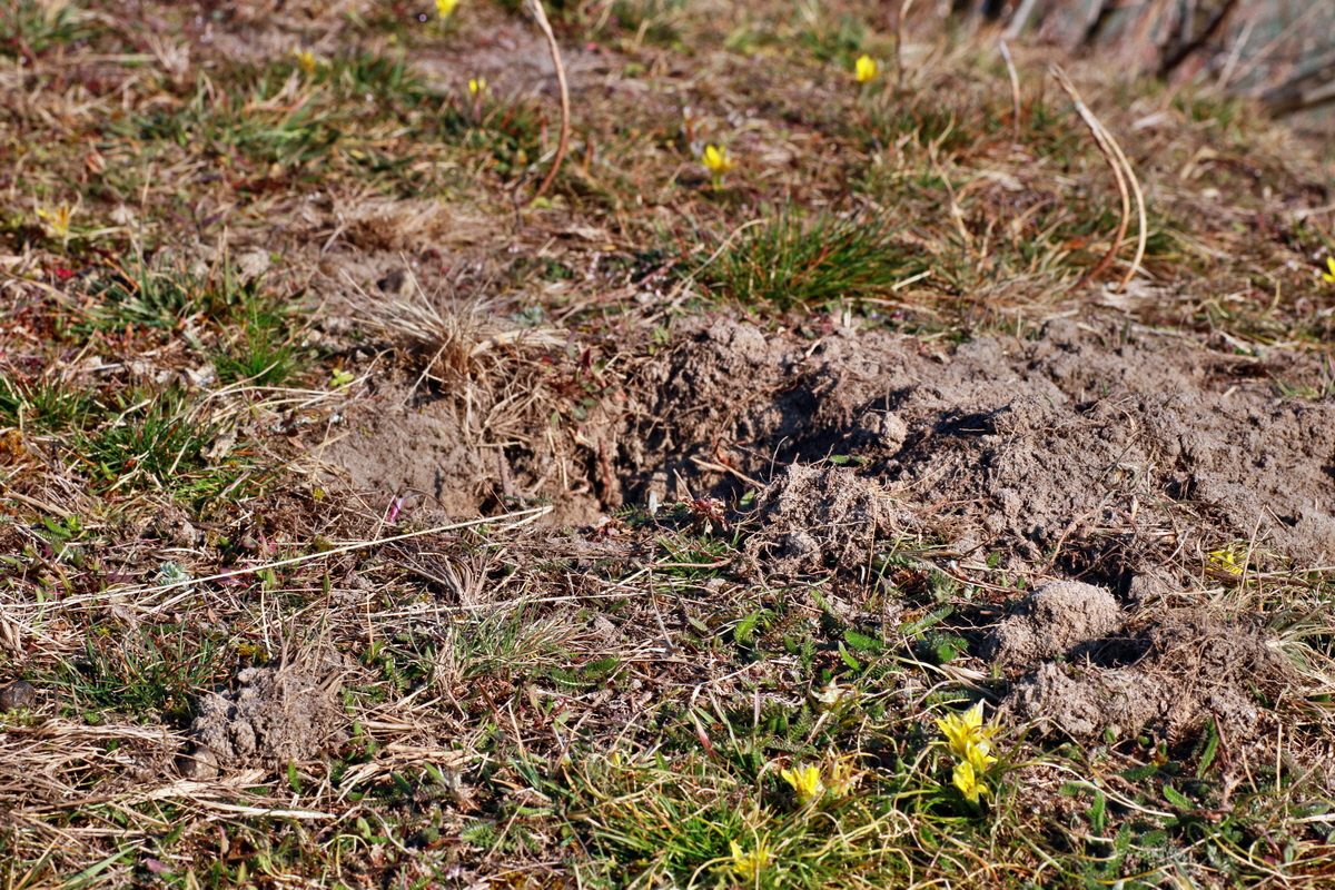 IMG-2016-03-17-00011298p_Bildgr��e �ndern