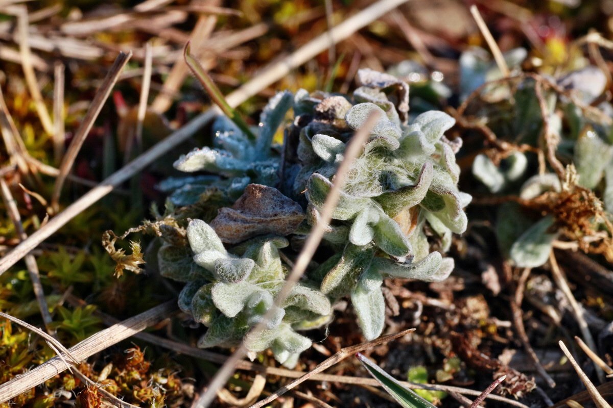 IMG-2016-03-17-00011299p_Bildgr��e �ndern