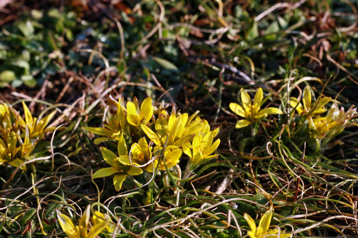 IMG-2016-03-17-00011303p_Bildgr��e �ndern