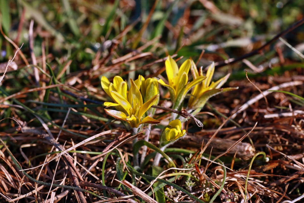 IMG-2016-03-17-00011306p_Bildgr��e �ndern