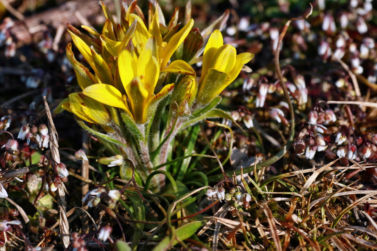 IMG-2016-03-17-00011308p_Bildgr��e �ndern