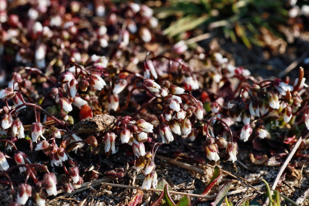 IMG-2016-03-17-00011312p_Bildgr��e �ndern